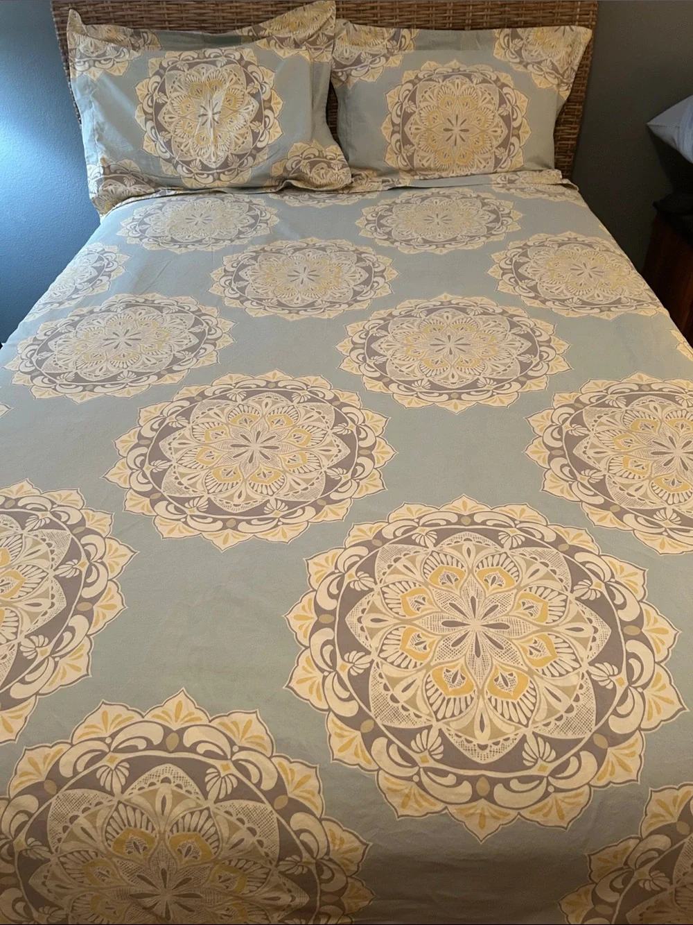 Pottery Barn Cream & Tan Medallion Duvet Cover - Neutral Bedding